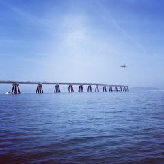 ボート釣りをする人だけの特権。